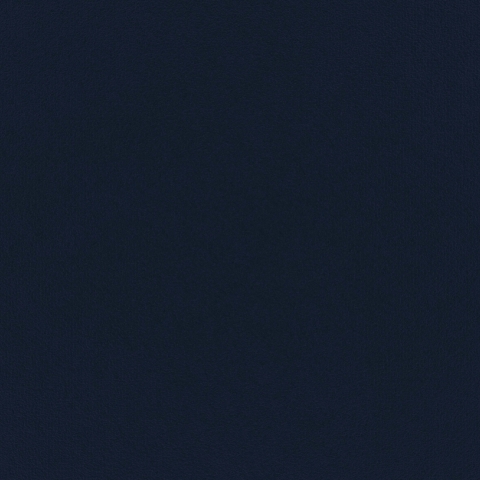 ECO Indigo fabric
